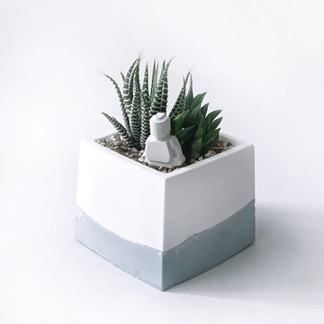 (預購)莫蘭迪藍系列 | 十二之卷+黑舌 贈機器人 方形水泥多肉植栽