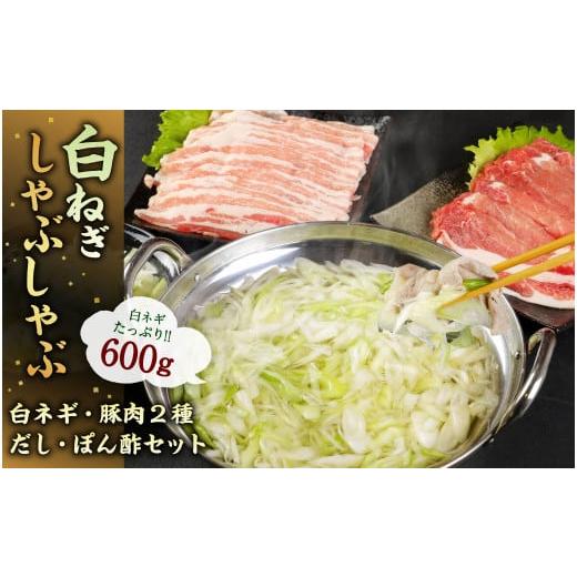 ふるさと納税 大分県 豊後大野市 073-830 大分県産 白ネギ しゃぶしゃぶ セット 計1.1kg ポン酢付き 豚肉 鍋セット お鍋