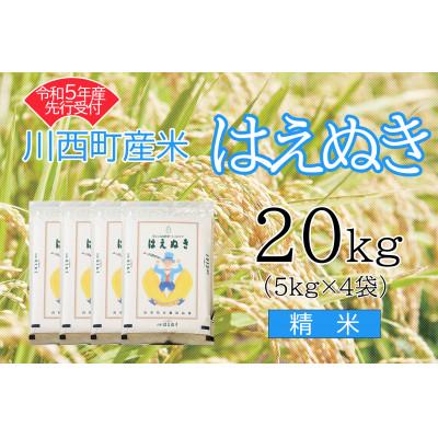 ふるさと納税 川西町 令和5年産　はえぬき20kg　精米　真空パック詰