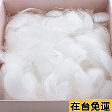 🌱在台出貨🌱 多彩羽毛禮盒填充物DIY手工裝飾材料拍照道具逗貓棒捕夢網馬卡龍 白色羽毛 黑色羽毛 彩色羽毛 手工羽毛