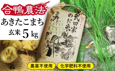 《令和５年度産》武田家のお米 あきたこまち（玄米）５kg＜合鴨農法＞   米 げんまい ５キロ アイガモ