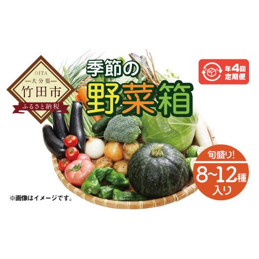 ふるさと納税 大分県 竹田市 竹田市産！季節の『野菜箱』年4回 四季の定期便