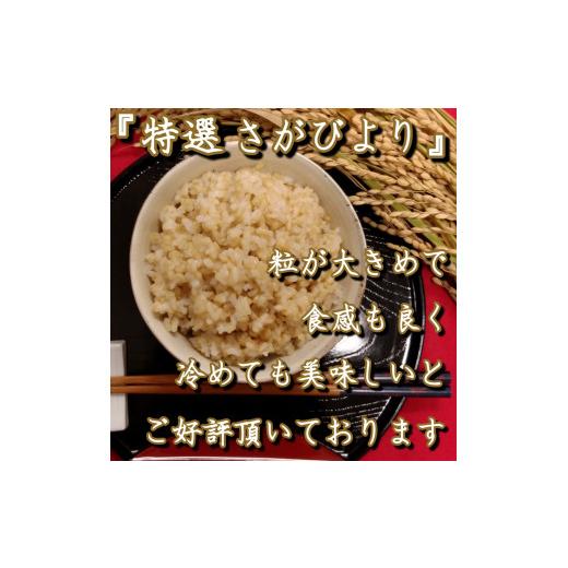 ふるさと納税 佐賀県 みやき町 CI307　有機肥料を使って栽培した≪特選さがびより≫みやき町産（５kg×２袋）