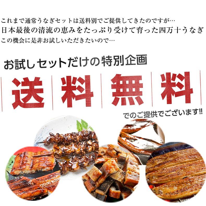 うなぎ 蒲焼き 国産最高級 四万十うなぎ お取り寄せグルメ 詰め合わせ プレゼント お歳暮 2023 ギフト  鰻