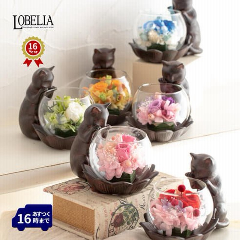 プリザーブドフラワー 花 誕生日 プレゼント 猫好き 女性 母 祖母 還暦祝い 古希祝い 喜寿祝い 退職祝い ブリザードフラワー やっぱり猫が好き なんだなぁ 通販 Lineポイント最大0 5 Get Lineショッピング