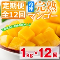 ＜定期便・全12回(連続)＞鹿児島県産！南国の恵み！丸ごと冷凍完熟マンゴー(1kg×12回)