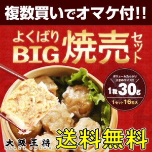 複数購入でオマケ付き！ 大阪王将よくばりBIG焼売セット （しゅうまい 惣菜 冷凍食品 中華 福袋）