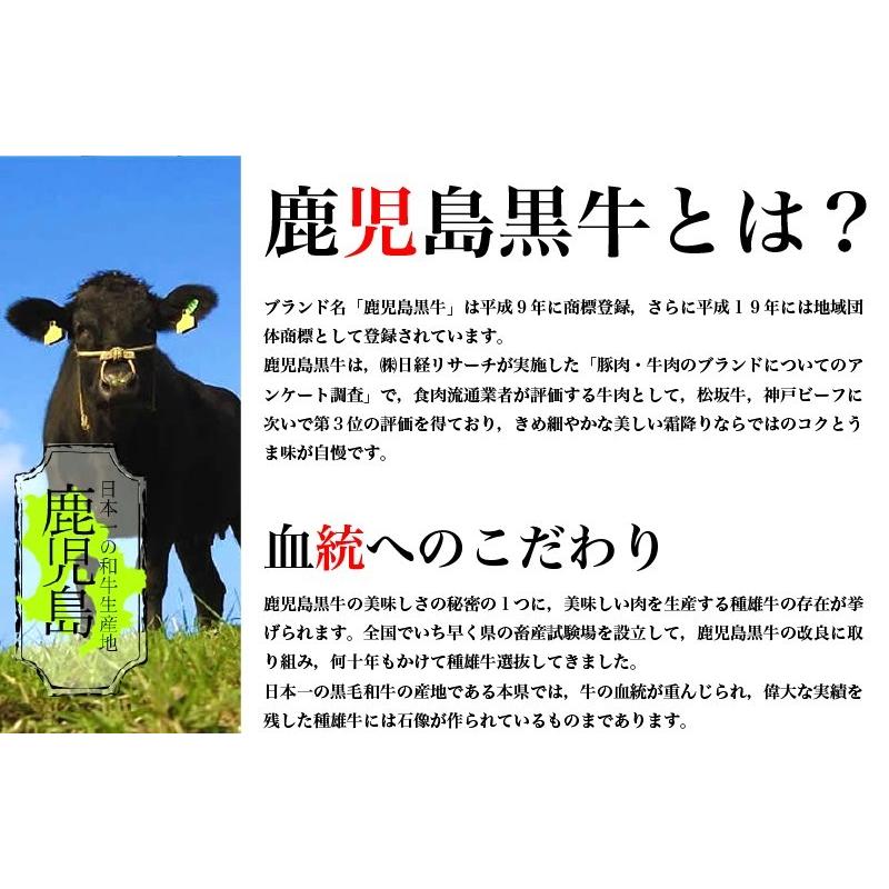 鹿児島黒牛熟成肉　ドライエイジングビーフ　モモステーキ　加熱用　100g × 2枚