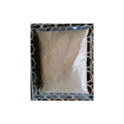 ふるさと納税 新潟県 佐渡市 高島農場の農薬不使用コシヒカリ10kg玄米