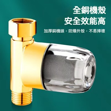 🔥臺灣出貨🔥 4分不鏽鋼前置過濾器 家用自來水 熱水器 馬桶 洗衣機 燃氣 壁掛爐配件 6・19