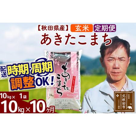 ふるさと納税 《定期便10ヶ月》＜新米＞秋田県産 あきたこまち 10kg(10kg袋) 令和5年産 お届け時期選べる 隔月お届けOK お米 みそらフ.. 秋田県北秋田市