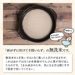 定期便 ≪2ヶ月連続お届け≫ 福井県のブランド米 いちほまれ 無洗米 10kg × 2回 計20kg  [D-6152]