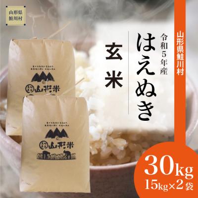 ふるさと納税 鮭川村 令和5年産 鮭川村 はえぬき  30kg (15kg×2袋)