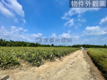 單坪只要3.5萬-歸仁沙崙AI生態園區投資農地B｜台南市歸仁區沙崙