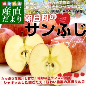 山形県産 JAさがえ西村山 朝日町のサンふじ 約3キロ (10玉から12玉) 送料無料 りんご リンゴ 林檎 市場発送