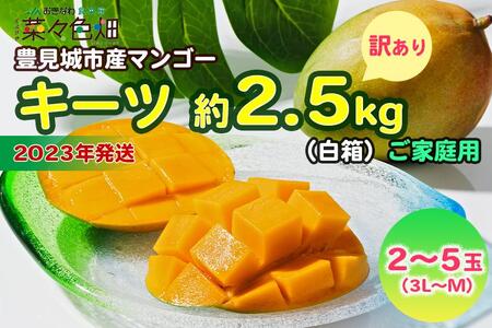 キーツマンゴー約2.5kg（白箱）訳ありご家庭用