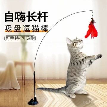 [24時熱賣]吸盤逗貓棒 貓咪玩具 逗貓棒 自動逗貓棒 貓玩具 逗貓 自動逗貓 FG3J