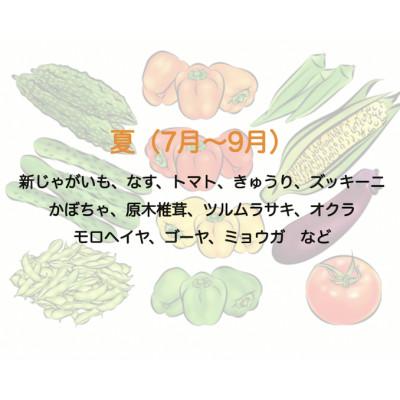 ふるさと納税 南伊豆町 湯の花の季節の野菜セット