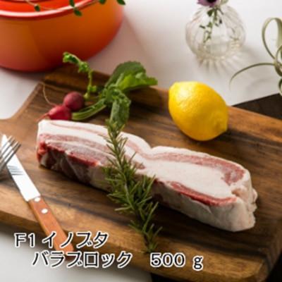 ふるさと納税 日高町 高級食材!F1イノブタ　塊肉(バラ)500g