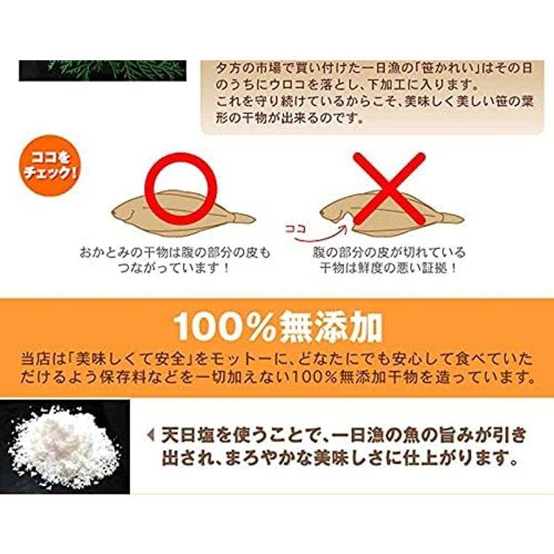 おおだブランド 一日漁の一夜干「銀山」 甘鯛、のどぐろ、白いかの3種を詰合せた豪華なギフト