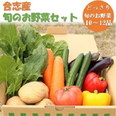 ふるさと納税 合志市 熊本県合志市の旬のお野菜セット10〜12品目