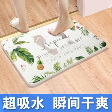 硅藻泥地墊家用浴室防滑墊吸水墊門口腳墊