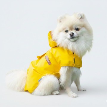 韓國 ppuya 都會犬 絢彩機能雨衣-金黃色