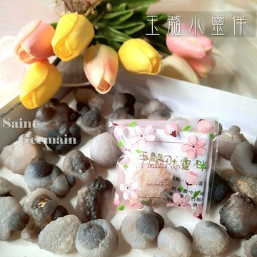 【土桑寶貝】玉髓小靈伴 ~摩洛哥西撒哈拉 松露玉髓/球狀玉髓結核/Chalcedony Nodule