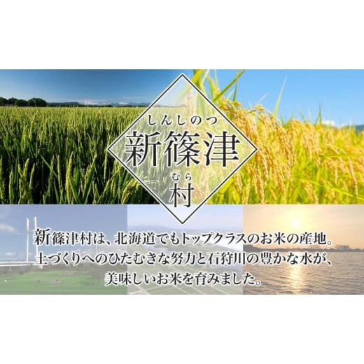 ふるさと納税 北海道 新篠津村 北海道 定期便 6ヵ月 連続 全6回 R5年産 北海道産 ななつぼし 10kg 精米 米 白米 ごはん お米 新米 特A 獲得 ライス 北海道米 …