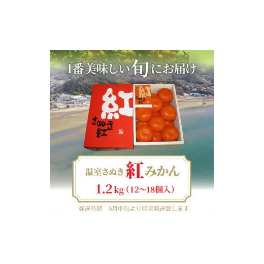 ふるさと納税 香川県 三豊市 M02-0055_温室さぬき紅みかん　約1.2kg