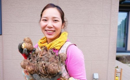 ねっとりもちもち　小郡産の里芋「白芽大吉」2.5ｋｇ　ふくおかエコ農産物認証　ゆうき自然農場