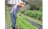 旬の野菜とお米のセット