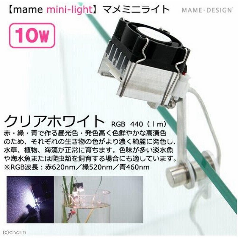 コンビニ受取対応商品 マメデザイン マメミニライト １０ｗ ｃｗ クリアホワイト ｍａｍｅ ｍｉｎｉ ｌｉｇｈｔ 沖縄別途送料 関東当日便 工場直送 Ihmc21 Com