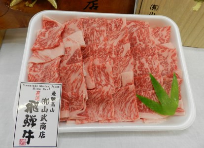 飛騨牛 ロース 焼肉用 500g 和牛 ロース焼肉用 ロース 焼肉用 TR3549