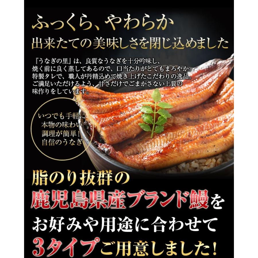 うなぎ 蒲焼き ご家庭用 国産 鹿児島産 長蒲焼き10本セット 約110g×10 タレ山椒付き 送料無料 クール