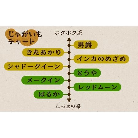 ふるさと納税 北海道産 じゃがいも 3種 5kg 北海道 きたあかり メークイン レッドムーン シルクスイート シャドークイーン ジャガイモ ポテト .. 北海道木古内町