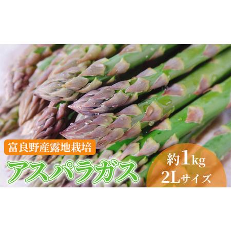 ふるさと納税  北海道 富良野産 アスパラガス 2Lサイズ 約1kg 露地栽培 (山本農園) 北海道富良野市