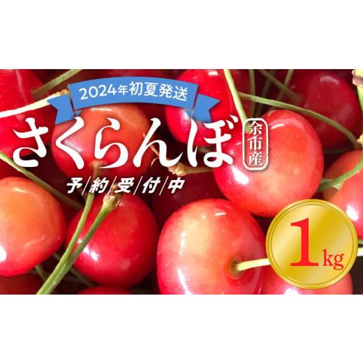 ふるさと納税 北海道 余市町 〔先行受付〕毎年大好評！こだわりの東谷農園 余市産 さくらんぼ 1kg（2024年初夏発送）