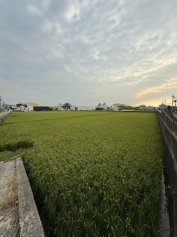 烏日區投資置產美農地｜台中市烏日區溪南路