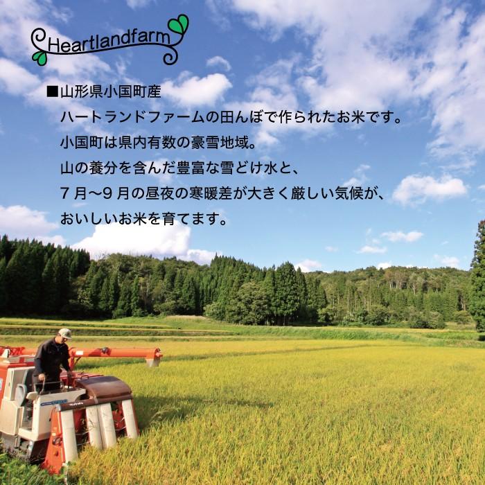 新米 はえぬき お試し米 900g 山形県 令和5年産 精白米 真空パック 送料無料 1kg以下 ポイント消化 ハートランドファーム