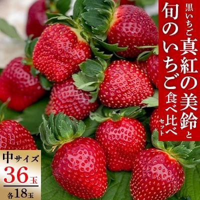 ふるさと納税 大網白里市 真紅の美鈴と旬のいちご食べ比べセット(中サイズ)