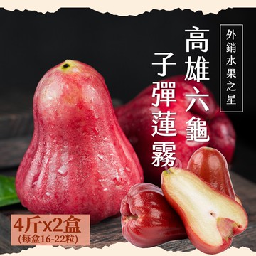 【初品果】高雄六龜子彈蓮霧禮盒4斤16-22粒x2盒 _D+7出貨陸續出貨