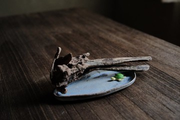 冬季的羊卓雍措・雪・長皿1