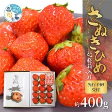 さぬきひめいちご化粧箱　約400g