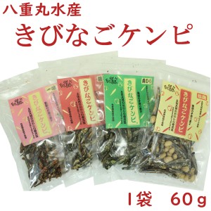 八重丸水産　きびなごケンピ／塩麹 醤油 青のり 一味 おつまみ けんぴ おやつ 高知 お土産 大月町 土佐