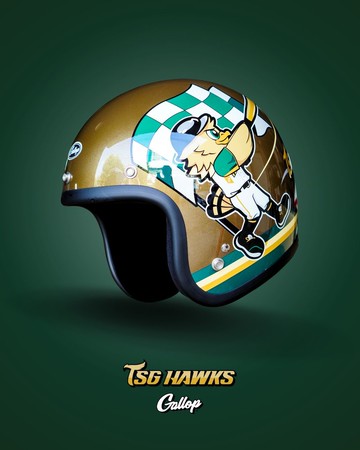 GALLOP X 台鋼雄鷹TSG HAWKS 聯名安全帽 3/4半罩安全帽 金色