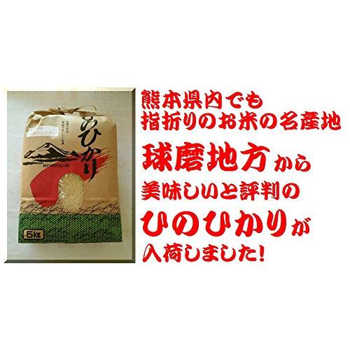 新米 令和5年 熊本県 球磨地方産 白米 ひのひかり 5kg