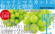 ぶどう 2024年 先行予約 9月・10月発送 シャイン マスカット 晴王 1房 約600g ブドウ 葡萄  岡山県産 国産 フルーツ 果物 ギフト