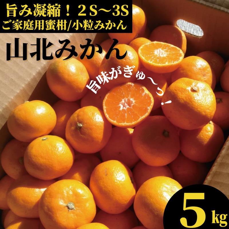 山北みかん 5kg ご家庭用蜜柑  2Sサイズ　 小粒みかん　 高知産