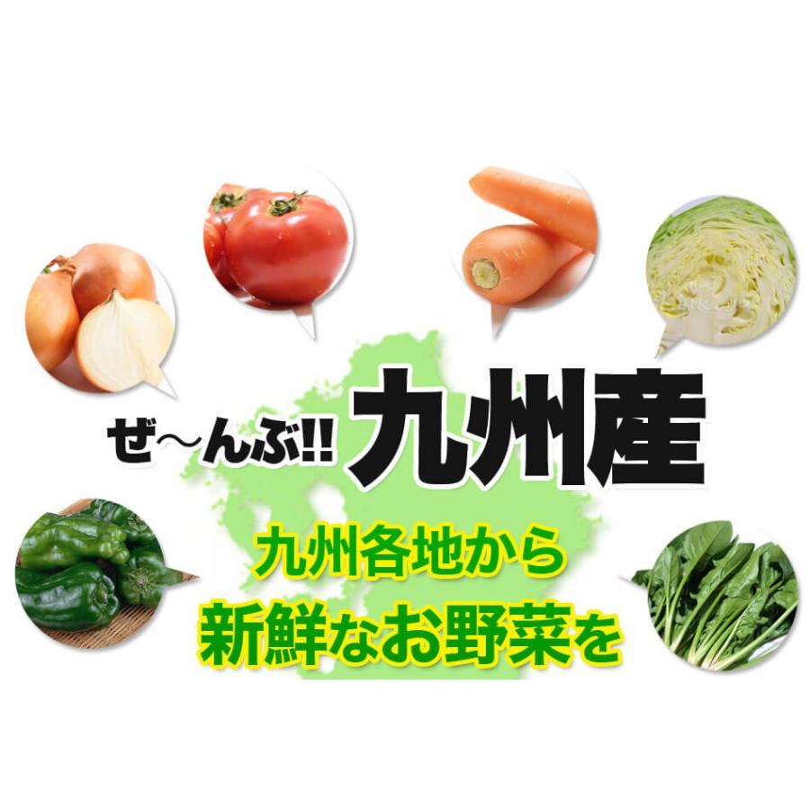 野菜セット 九州産 12品目 詰め合わせ 国産 お試し